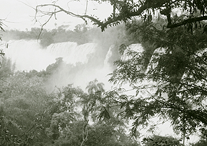 LEICA IIIf, ELMAR 3,5/50, GIGABIT FILM